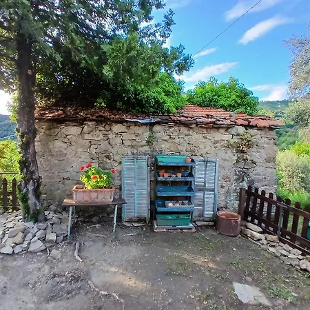 Cozy Retreat In