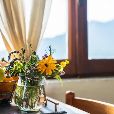 Cozy Retreat In * Berzi