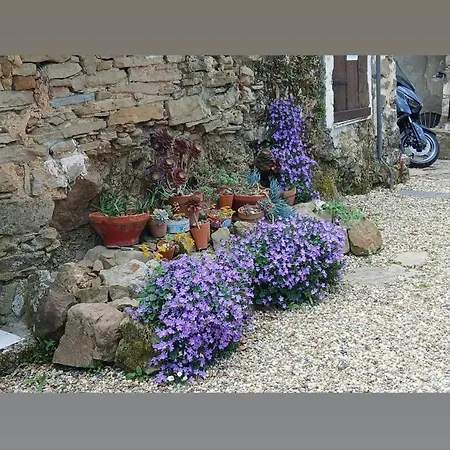 Cozy Retreat In * Berzi